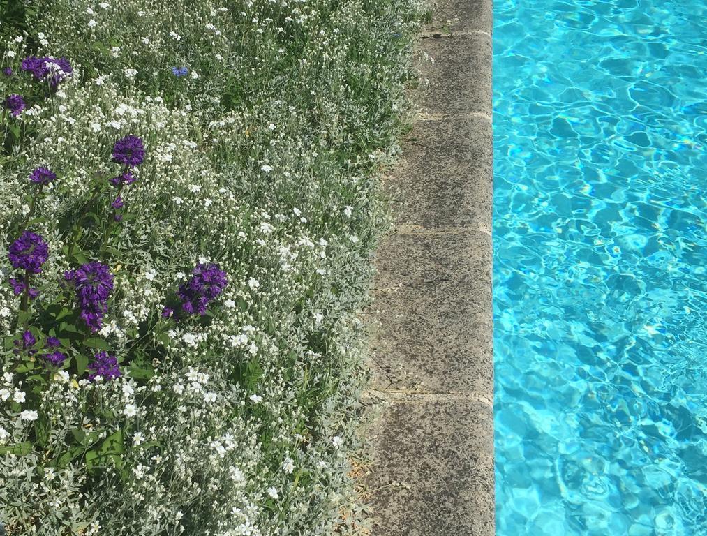 Fleurs De Vignes Piscine Bed & Breakfast Montagny-lès-Beaune Екстериор снимка